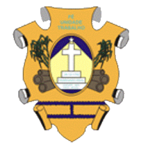 CÂMARA MUNICIPAL DE IGARAPÉ-MIRI