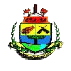 FUNDO MUNICIPAL DE SAÚDE DE SÃO DOMINGOS DO ARAGUAIA